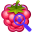 Raspberry Debugger